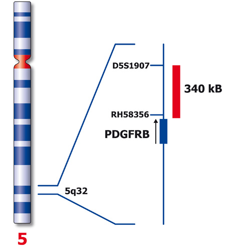 PDGFRB (5q32) product photo Back View S