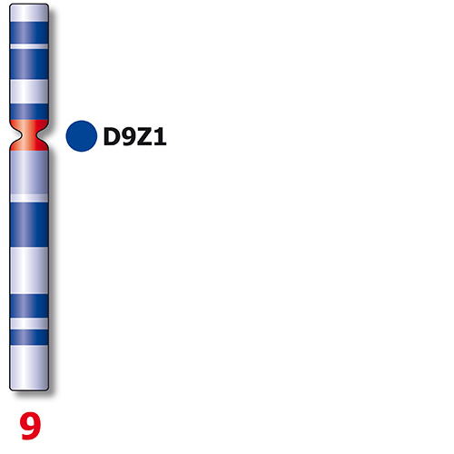 IVD dic(9;20) product photo Side View S