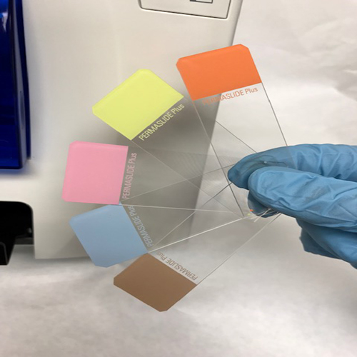 Pink Clipped PERMASLIDE product photo