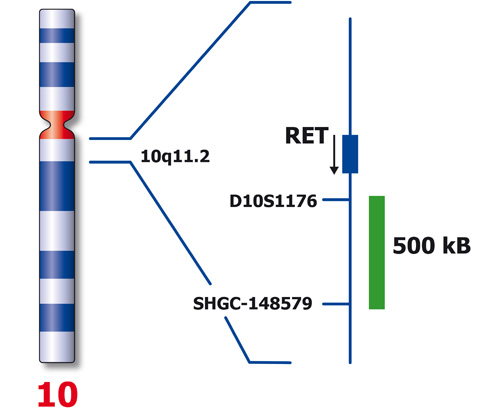 RET (10q11) product photo Front View S