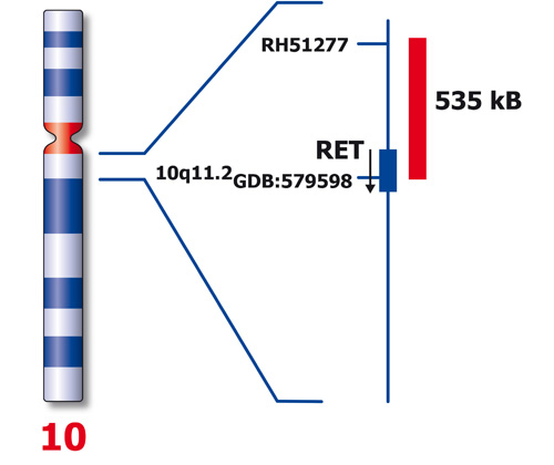 RET (10q11) product photo Back View S
