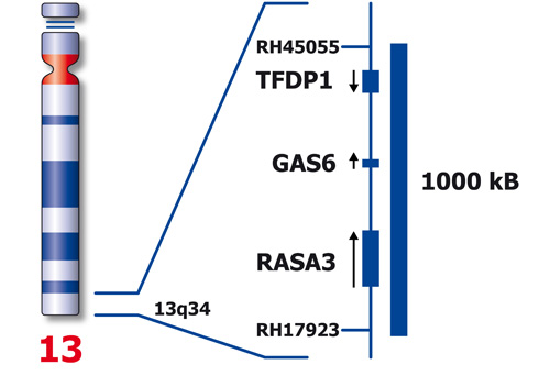 13q34 Blue 33 µl 3x product photo