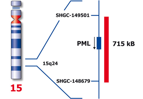 PML (15q24) Red 250µl 2x product photo