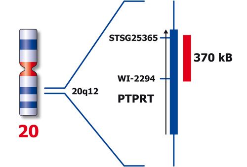 20q12 Red 250µl 2x product photo