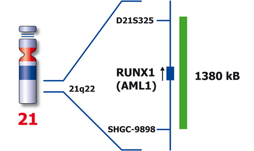 RUNX1 (21q22) Green 250µl 2x product photo