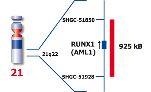 RUNX1 (21q22) product photo Back View S