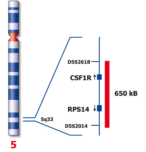 ABL (5q33) product photo Front View S