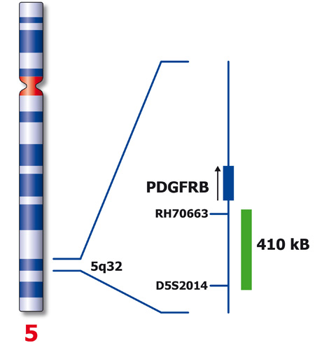 PDGFRB (5q32) product photo Front View S