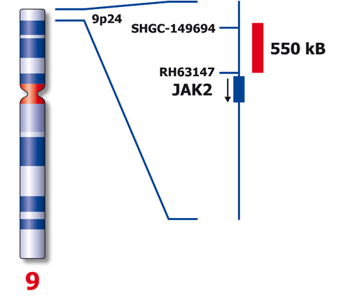 JAK2 (9p24) product photo Back View S