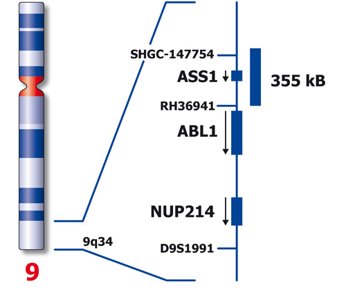 ASS1 (9q34) product photo Front View S